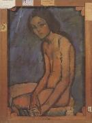 Amedeo Modigliani Nu assis (mk39) oil painting